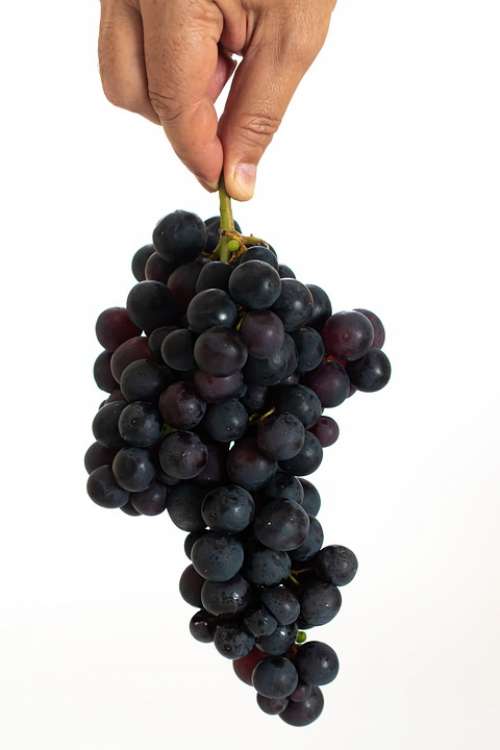 Grape Fruit Food Healthy Sweet Red Juicy Tasty