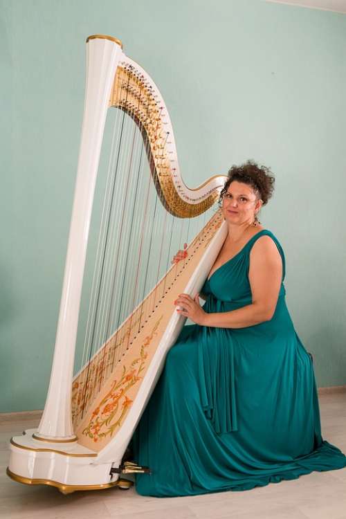 Harp Harpist Musician Music Concert Musicians