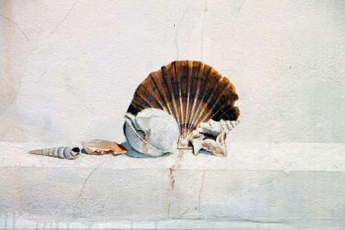 Hauswand Wall House Mural Shell Art Italy