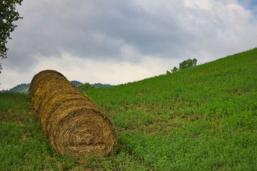 Hay Bales Agriculture Summer Field Landscape