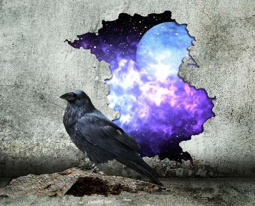 Hole In The Wall Wall Space Sci-Fi Fantasy Raven