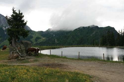 Holiday Austria Slopes Landscape Hiking More