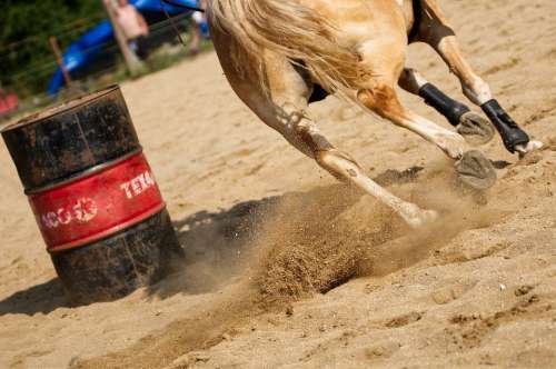 Horse Hooves Horse Riding Western Feet Barrel