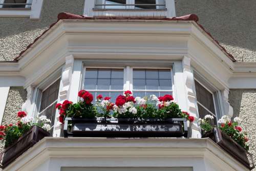 House Bay Window Floral Decorations Architecture