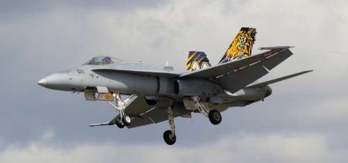 Jet Aircraft F-18 Airplane Plane Fighter Military