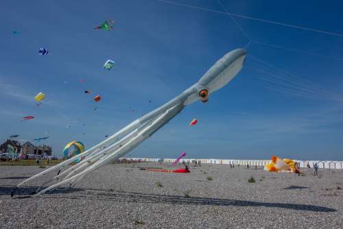 Kite Festival Beach Color Wind Sky Fly
