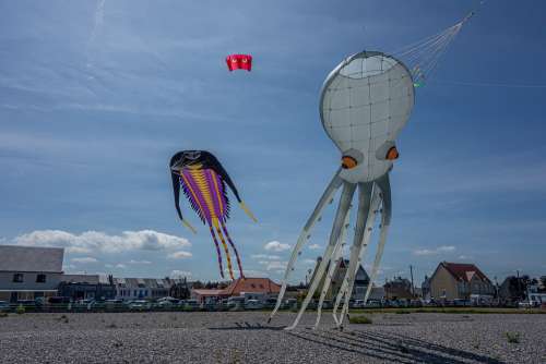 Kite Festival Beach Color Wind Sky Fly