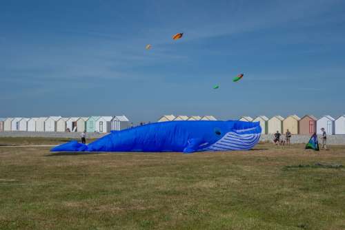 Kite Festival Beach Color Wind Sky Fly