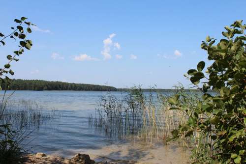 Lake Belarus Nature White Lake