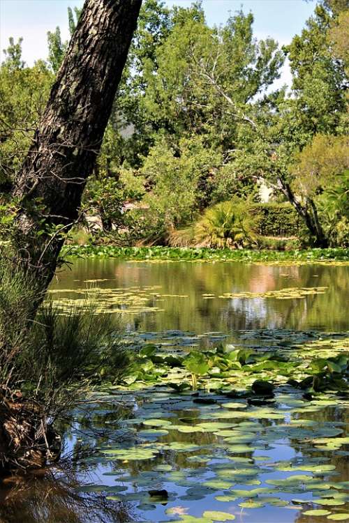 Lake Sollies Pont Provence France Nature Green