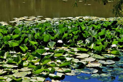 Lake Sollies Pont Provence France Nature Green