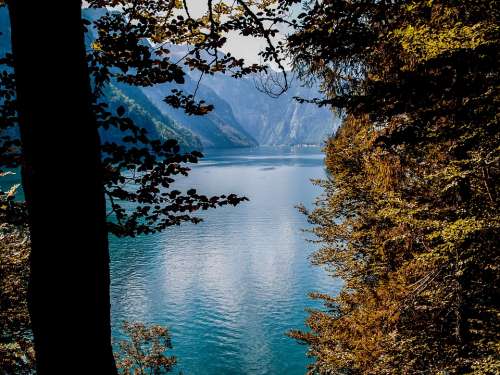 Landscape Lake Water Nature Königsee View Travel