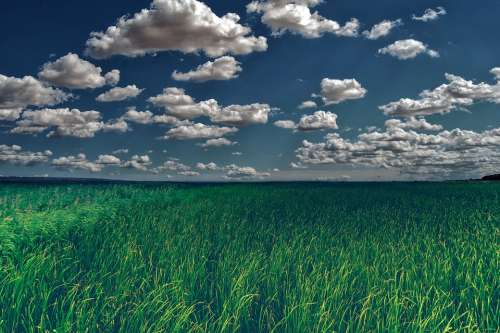 Landscape Field Grass Sky Clouds
