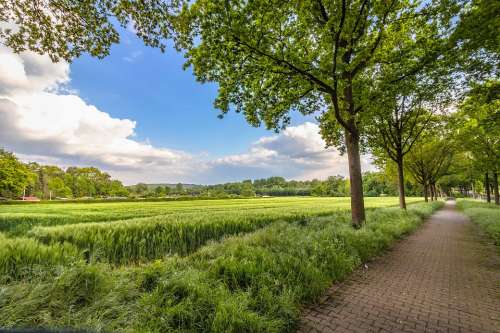 Lane Rural Landscape Nature Summer Sky Path