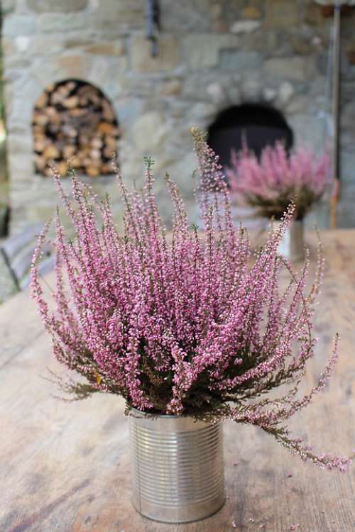 Lavender Rustic Tuscany Flower Europe Provence