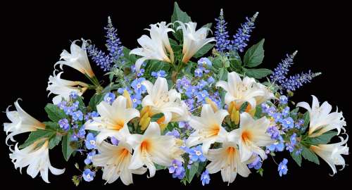 Lilies White Blue Flowers Arrangement Garden
