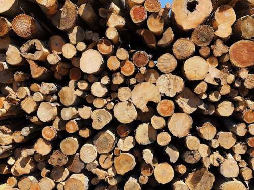 Logs Logging Wood Forest Log Tree