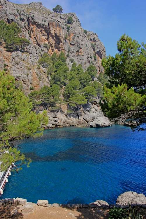 Mallorca Bay Sea Mediterranean Vacations Coast