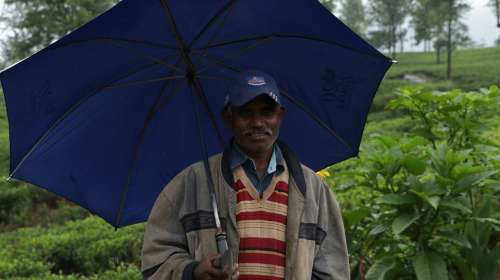 Man Sri Lanka India Happy People Adult Portrait