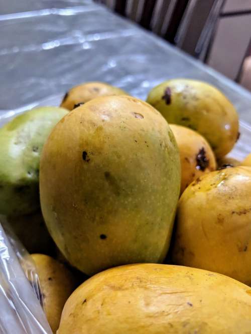 Mango Summer Fruit Yellow Flavour India
