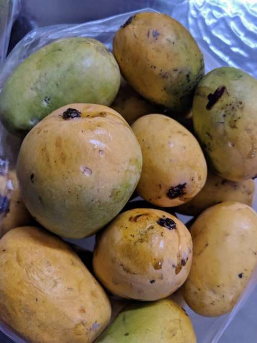 Mango India Yellow Testy Flavour Fruits