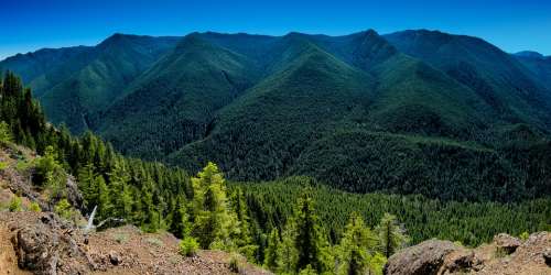 Mountains Trees Evergreen Nature Green Forest