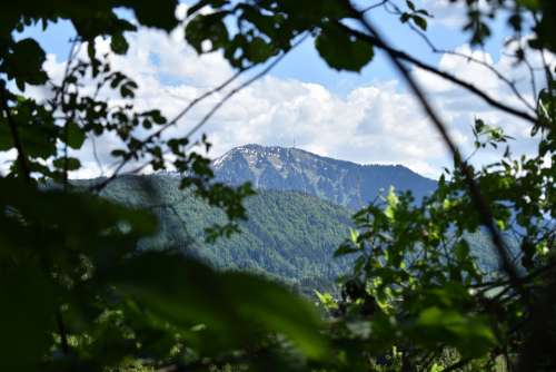 Nature Forest Landscape Alpine Summit Great