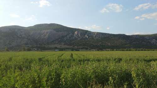 Nature Agriculture Rural Area Summer Sky Clouds