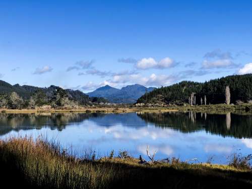New Zealand Pauanui Tairua Scenery Environment
