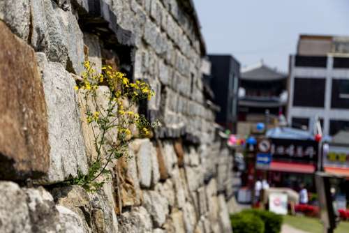 Paldalmun Gate South Gate Castle Korea