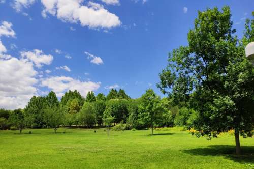 Park Green Space Shade Blue Sky White Cloud