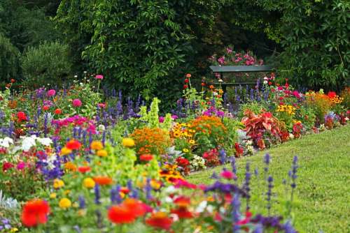 Park Colorful Flower Beds Orangery Potsdam Nature