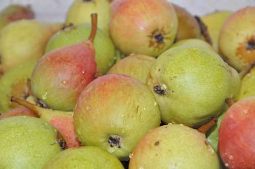 Pears Fruit Nutrition Vitamins