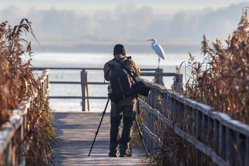 Photographer Nature Photographer Spring Lake Egret