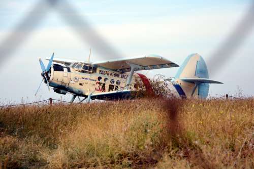 Plane Retro Maize Grass Abandoned Airplane
