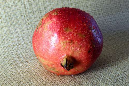 Pomegranate Plant Food Round Red Large With