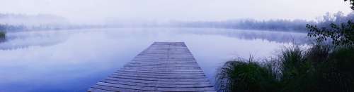 Pond Web Boardwalk Fog Forest Mirroring