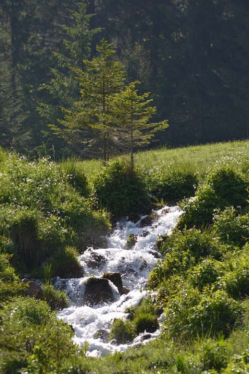 Prairie Creek Mountain