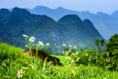 Pu Luong Nature Reserve Thanhhoa Province Agriculture