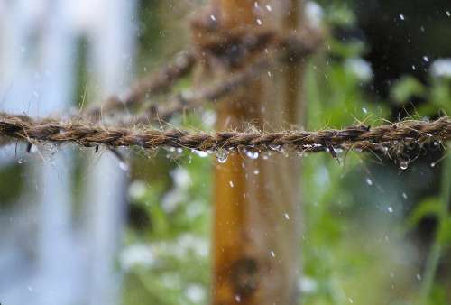 Rain Drip Rope Nature Wet Drop Of Water Water