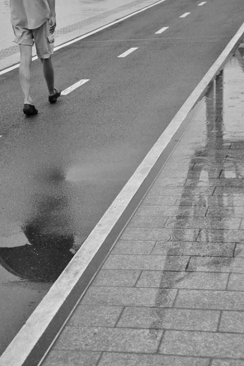 Rain Reflection Street Scene Shanghai Urban