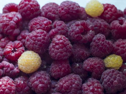 Raspberry Berry Dessert Sweet Vitamins Red Summer