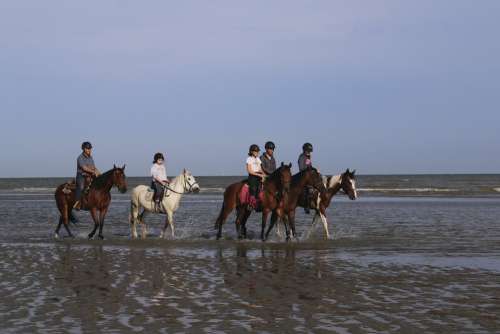 Riders Horses Ride Sea Horse