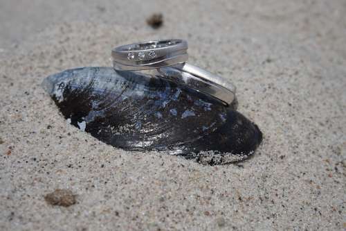 Rings Wedding Wedding Rings Romance Symbol