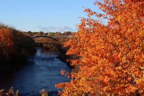 River Fall Foliage Fall Outdoor Scenic