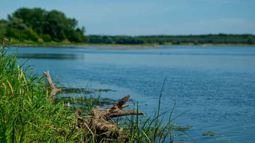 River Nature Wisla Poland Landscape Water Summer