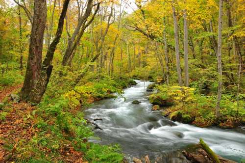River October Autumn Yellow Scenic Fall Season