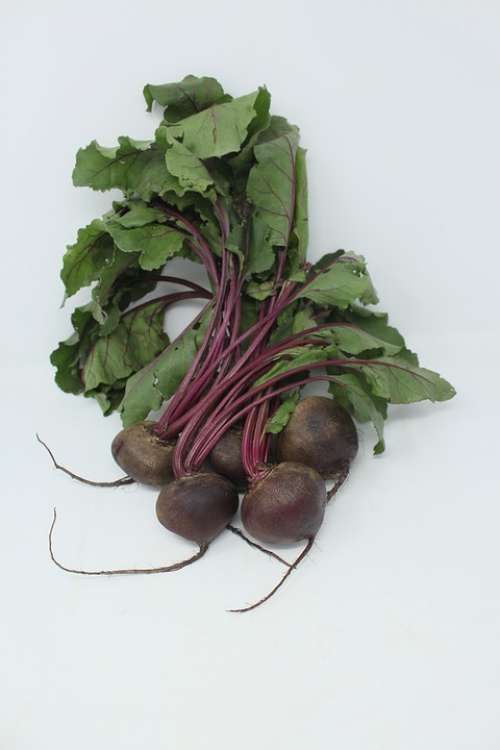 Sakata Beetroot Redace Sakata Beetroot Photo