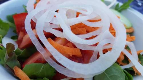 Salad Food N Healthy Color