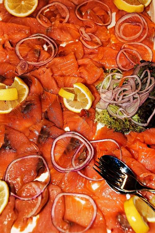 Salmon Fish Food Delicious Healthy Fresh Smoked